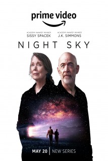 Night Sky Poster